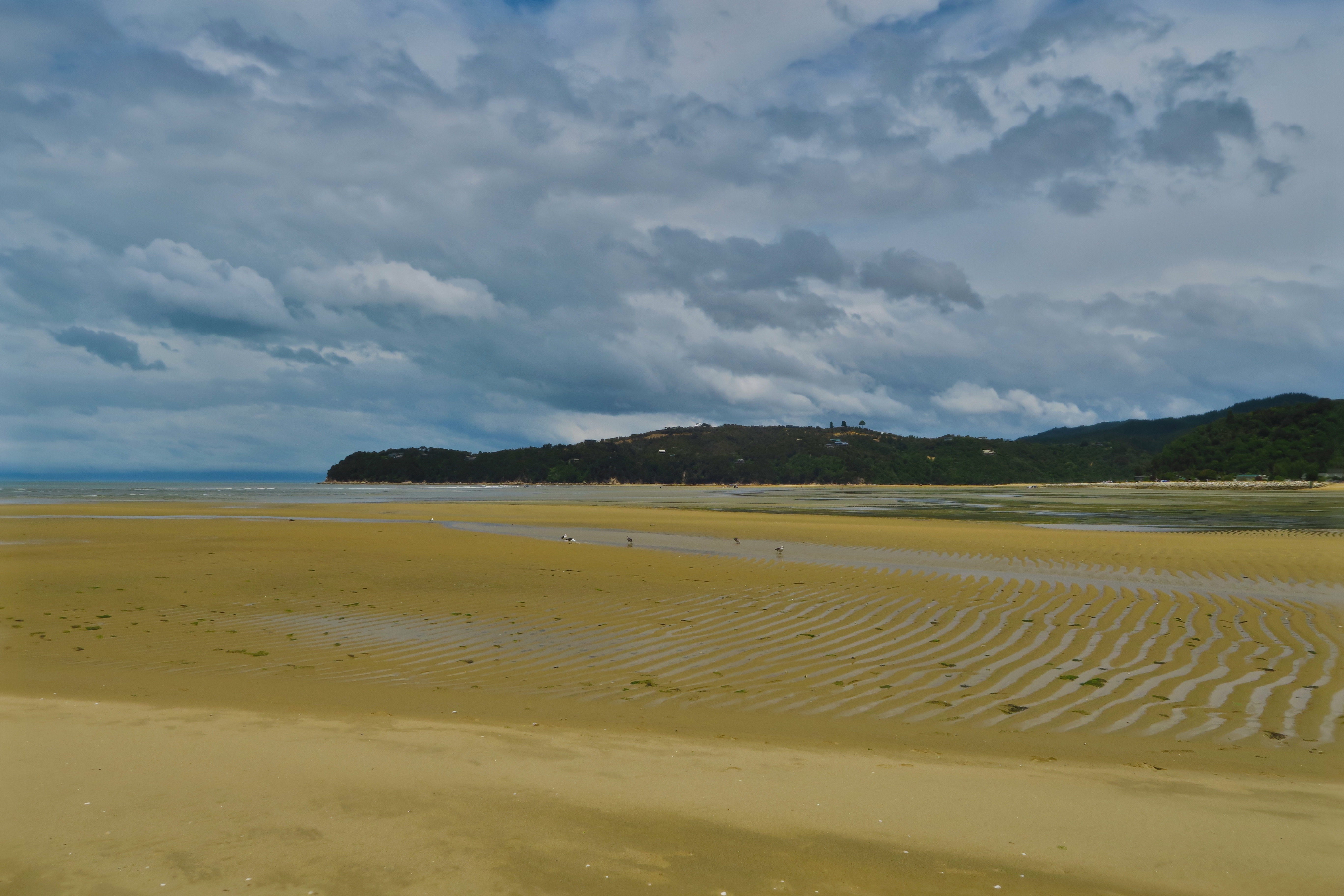 Sandy Bay-4