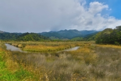Sandy Bay Marahau Road