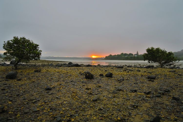 Aroha Island-Sonnenuntergang