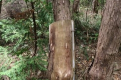 Aroha Island-Weta Box