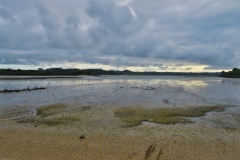 Blick in die Bay of Islands