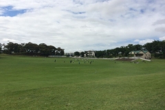 Auckland-Domaene-Cricket-Felder