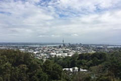 Mount Eden - Blick zur Skyline