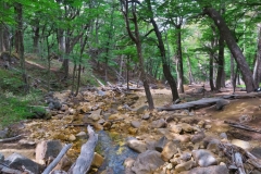 Wanderung zum Refugio Frey-2