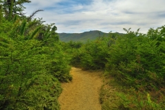Wanderung zum Refugio Frey