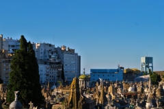 Friedhof La Recoleta-2