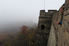 Blick aus der Mauer