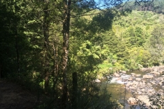 Blick auf den Fluss
