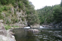 Schwimmen im Fluss