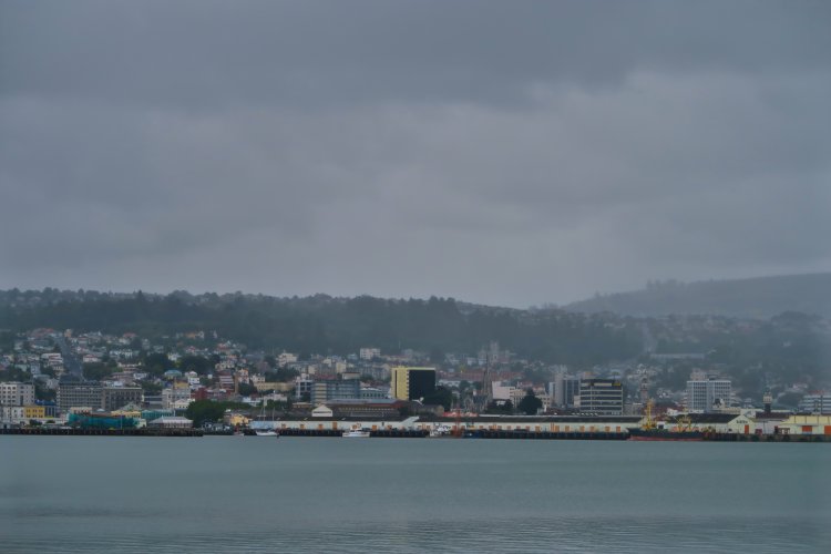 Blick auf Dunedin von der Peninsula
