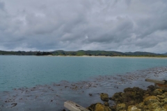 Aramoana