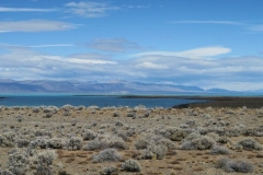 Weg-von-El-Calafate-nach-El-Chalten-4