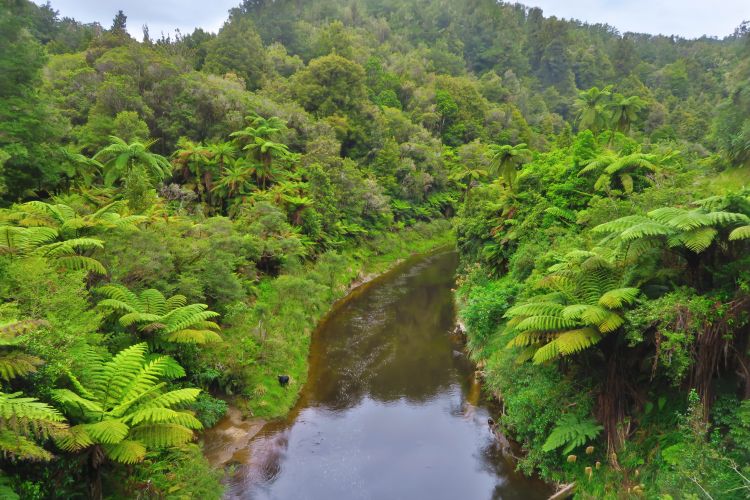 Whanganui River Zufluss