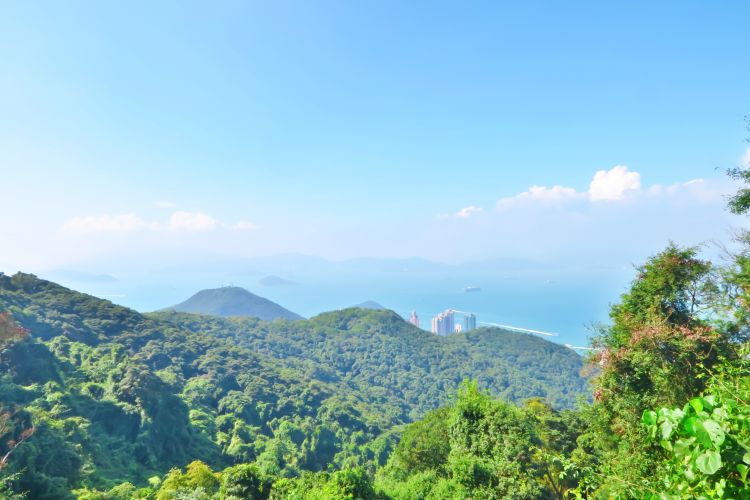 Victoria Peak - Ausblick-4