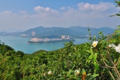 Dragons Back Trail - Ausblick-2