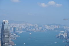 Victoria Peak - Ausblick mit Raptor