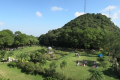 Victoria Peak - Victoria Garden