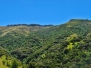 Akaroa - Banks Peninsula