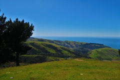 Blick Richtung Flea Bay