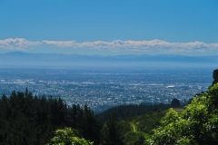 Blick auf Christchurch