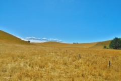 Peninsula Walkway-Southbay-2