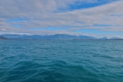 Whale Watch - Blick Richtung Kaikoura