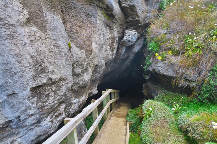 Luxmore Cave - Eingang