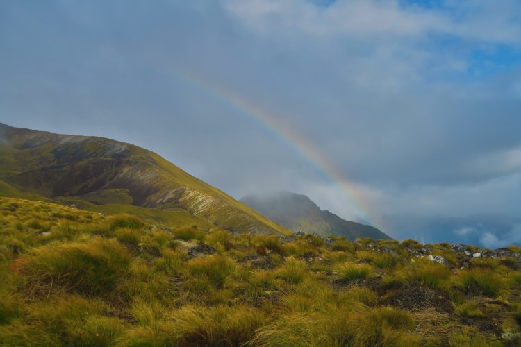 Regenbogen am Mount Luxmore