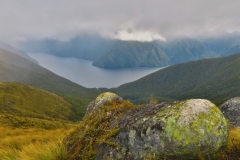 Bewachsener-Felsen-Suedfjord