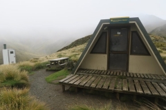 Forest Burn Shelter