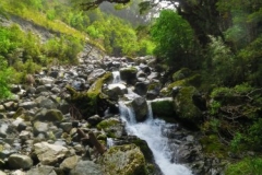 Gebirgsbach-2