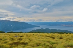 Insel im Lake Te Anau