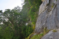 Limestone Bluffs