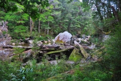 Natürlicher-Staudamm