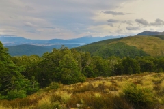 Oberhalb der Baumgrenze