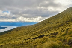 Rueckblick-auf-den-Weg-Richtung-Luxmore-Hut