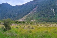 Spuren von einem riesigen Abrutsch