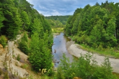 Waiau River
