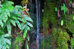 Wasserfall
