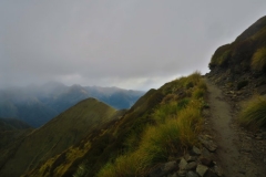 Weg zum Forest Burn Shelter