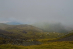 Wolkenfelder
