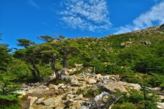 Aufstieg zu Laguna de Los Tres