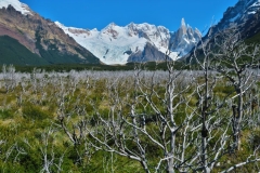 Tal mit Cerro Torre-2