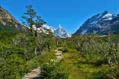 Weg zur Laguna Torre-3