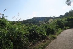 Lamma Island - Rundweg