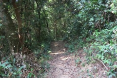 Lamma Island Trail