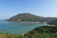 Pichic Bay-3