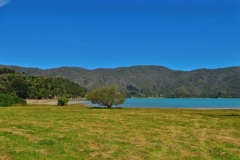 Kenepuru Sounds - Ohauparuparu Bay