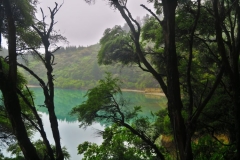 Marlborough Sounds - Spiegelung