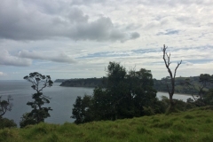 Sandrett Regional Park - Bay